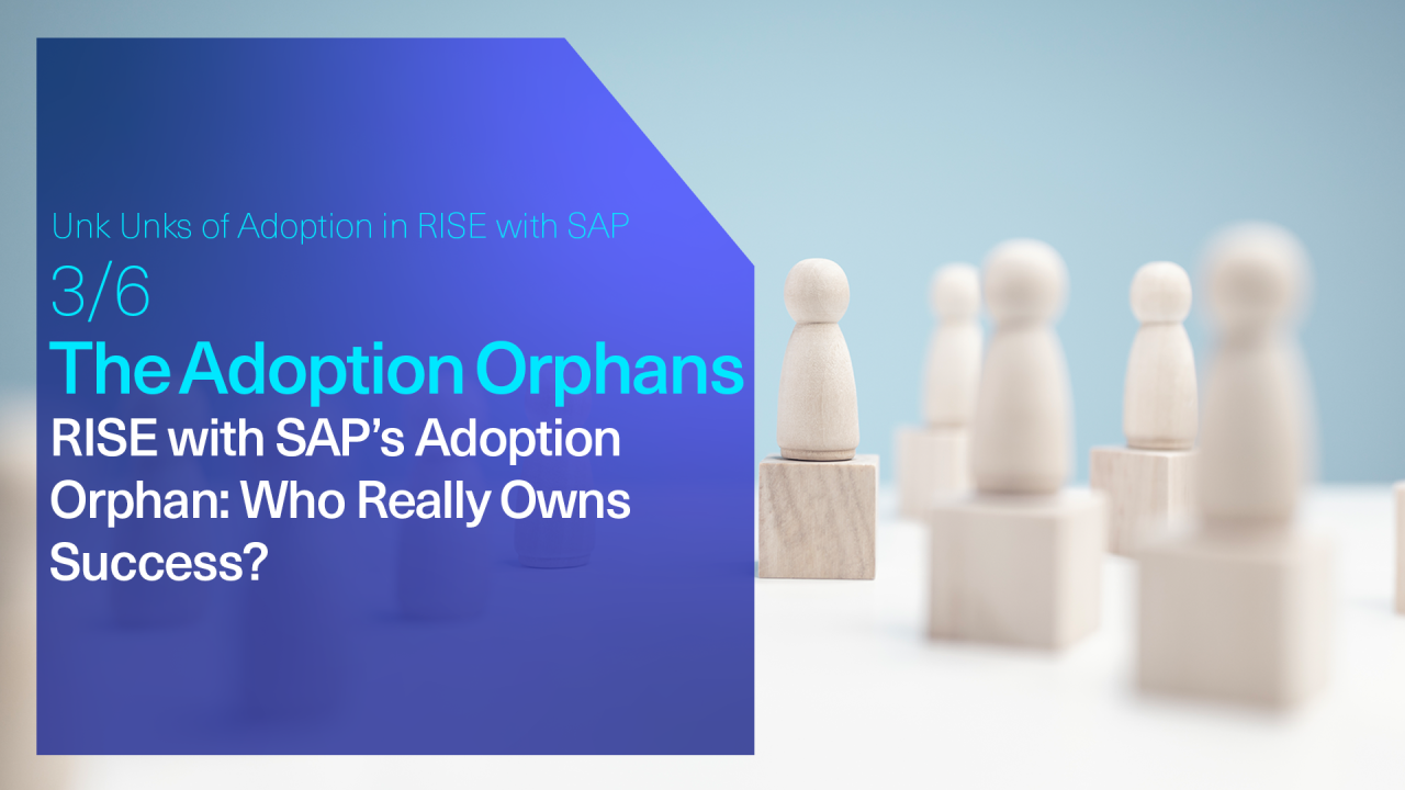 The Adoption Orphans is Unk Unk #3: RISE with SAP’s Adoption Orphans – Who Really Owns Success?